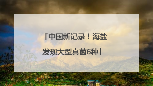 中国新记录！海盐发现大型真菌6种