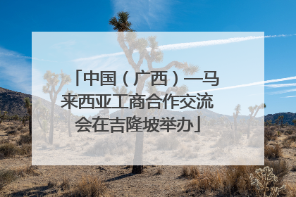 中国（广西）—马来西亚工商合作交流会在吉隆坡举办