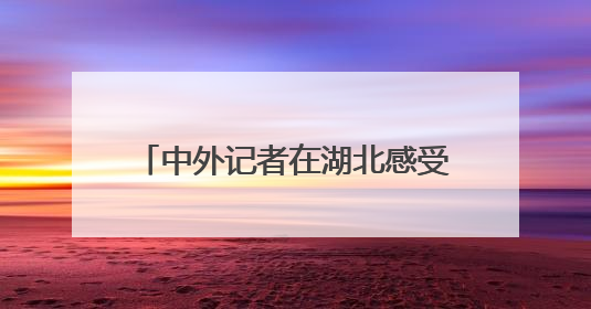 中外记者在湖北感受科技创新澎湃动力