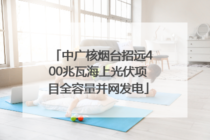 中广核烟台招远400兆瓦海上光伏项目全容量并网发电