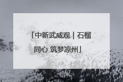 中新武威观｜石榴同心 筑梦凉州