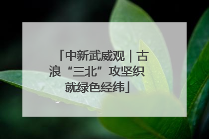 中新武威观｜古浪“三北”攻坚织就绿色经纬