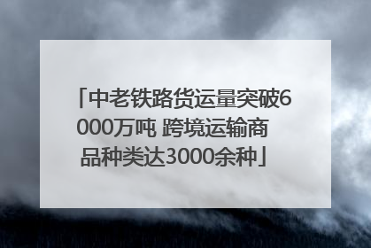 中老铁路货运量突破6000万吨 跨境运输商品种类达3000余种