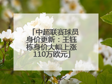 中超联赛球员身价更新：王钰栋身价大幅上涨110万欧元