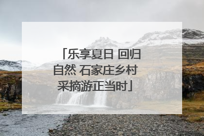 乐享夏日 回归自然 石家庄乡村采摘游正当时