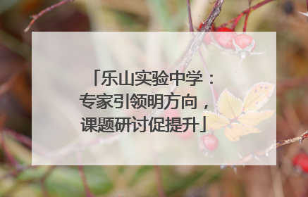 乐山实验中学：专家引领明方向，课题研讨促提升