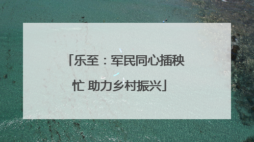 乐至：军民同心插秧忙 助力乡村振兴