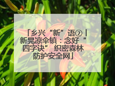 乡兴“新”语②丨新晃凉伞镇：念好“四字诀” 织密森林防护安全网