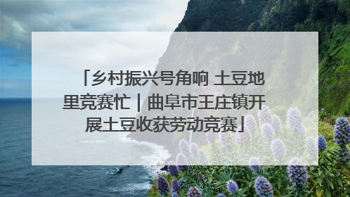 乡村振兴号角响 土豆地里竞赛忙｜曲阜市王庄镇开展土豆收获劳动竞赛