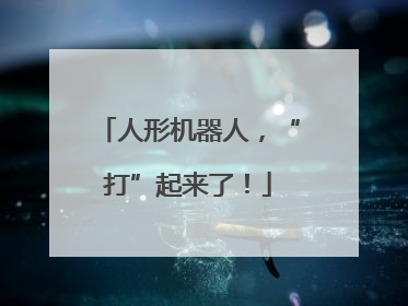 人形机器人，“打”起来了！