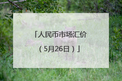人民币市场汇价（5月26日）