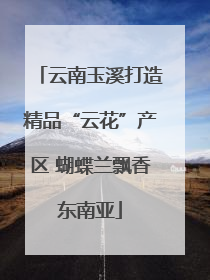 云南玉溪打造精品“云花”产区 蝴蝶兰飘香东南亚