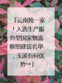 云南独一家！入选生产服务型国家物流枢纽建设名单，玉溪有何优势→
