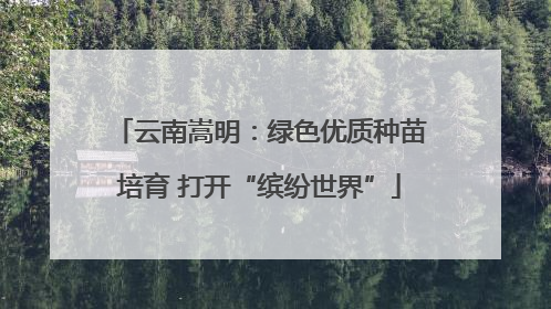 云南嵩明：绿色优质种苗培育 打开“缤纷世界”