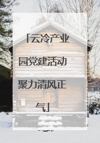 云冷产业园党建活动聚力清风正气