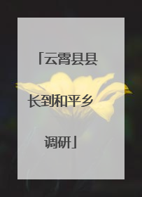 云霄县县长到和平乡调研