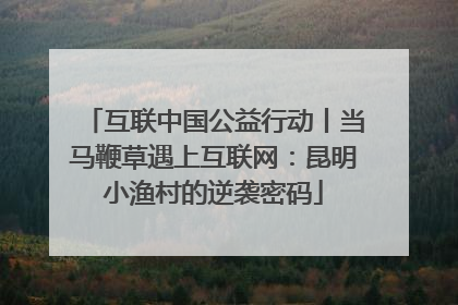 互联中国公益行动丨当马鞭草遇上互联网：昆明小渔村的逆袭密码