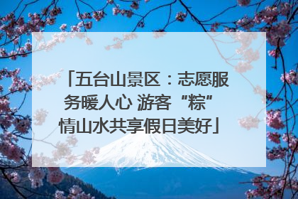 五台山景区：志愿服务暖人心 游客“粽”情山水共享假日美好