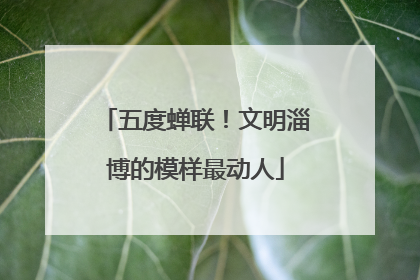 五度蝉联！文明淄博的模样最动人
