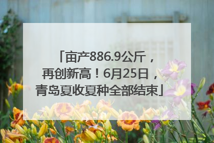 亩产886.9公斤，再创新高！6月25日，青岛夏收夏种全部结束