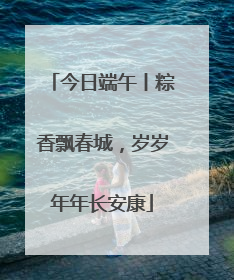 今日端午丨粽香飘春城，岁岁年年长安康