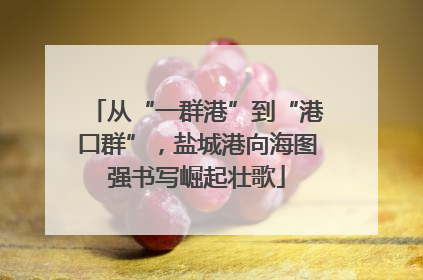从“一群港”到“港口群”，盐城港向海图强书写崛起壮歌