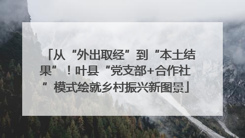 从“外出取经”到“本土结果”！叶县“党支部+合作社”模式绘就乡村振兴新图景