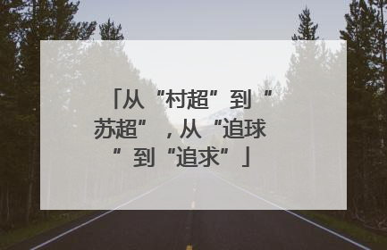 从“村超”到“苏超”，从“追球”到“追求”
