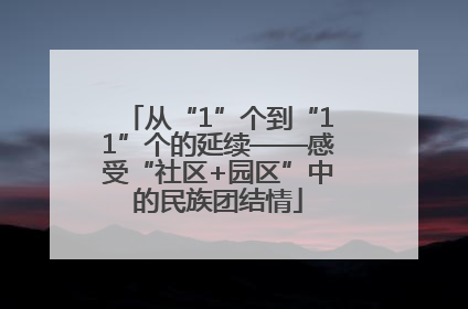 从“1”个到“11”个的延续——感受“社区+园区”中的民族团结情