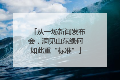 从一场新闻发布会，洞见山东缘何如此重“标准”