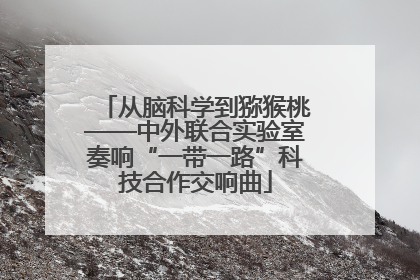 从脑科学到猕猴桃——中外联合实验室奏响“一带一路”科技合作交响曲