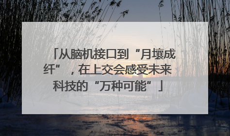 从脑机接口到“月壤成纤”，在上交会感受未来科技的“万种可能”