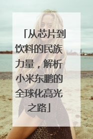 从芯片到饮料的民族力量，解析小米东鹏的全球化高光之路