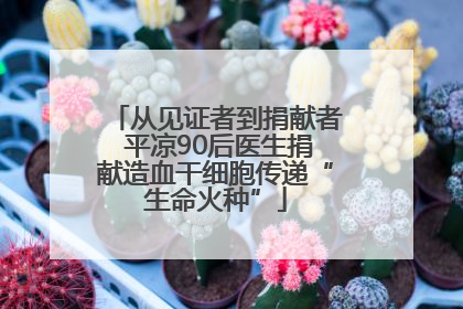 从见证者到捐献者 平凉90后医生捐献造血干细胞传递“生命火种”