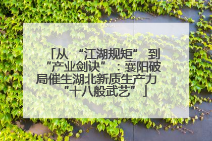 从 “江湖规矩” 到 “产业剑诀”：襄阳破局催生湖北新质生产力 “十八般武艺”