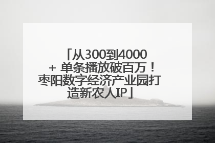 从300到4000+ 单条播放破百万！枣阳数字经济产业园打造新农人IP