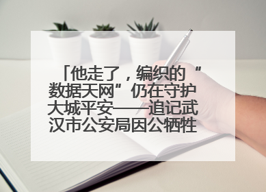 他走了，编织的“数据天网”仍在守护大城平安——追记武汉市公安局因公牺牲民警万松