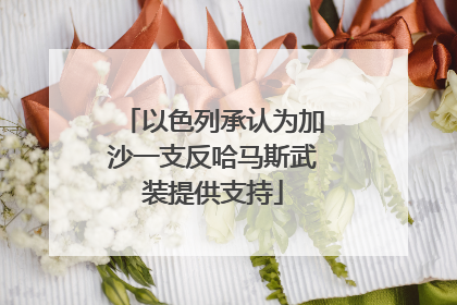 以色列承认为加沙一支反哈马斯武装提供支持