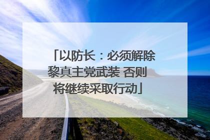 以防长：必须解除黎真主党武装 否则将继续采取行动