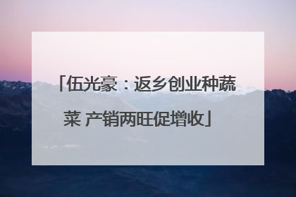 伍光豪：返乡创业种蔬菜 产销两旺促增收