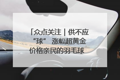 众点关注｜供不应“球” 涨幅超黄金 价格亲民的羽毛球为何身价飞涨？