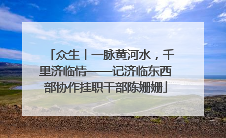 众生丨一脉黄河水，千里济临情——记济临东西部协作挂职干部陈姗姗