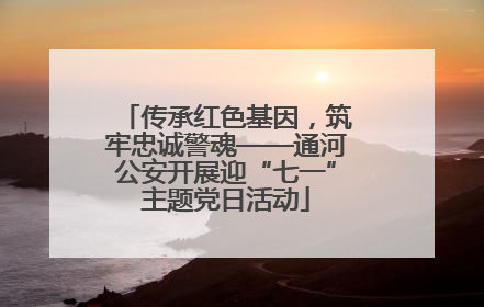 传承红色基因，筑牢忠诚警魂——通河公安开展迎“七一”主题党日活动