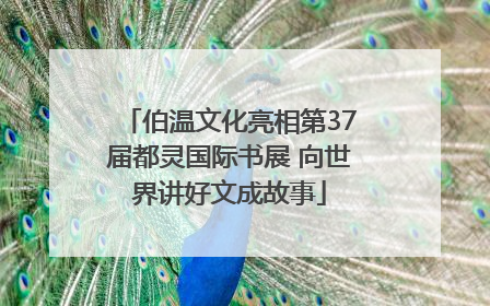 伯温文化亮相第37届都灵国际书展 向世界讲好文成故事