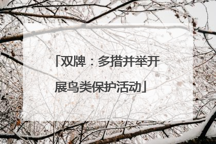 双牌：多措并举开展鸟类保护活动
