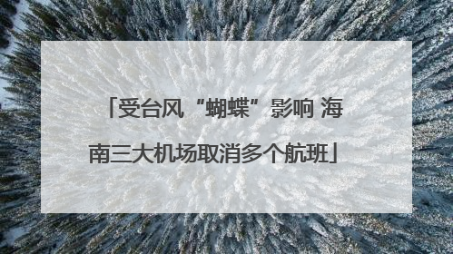 受台风“蝴蝶”影响 海南三大机场取消多个航班