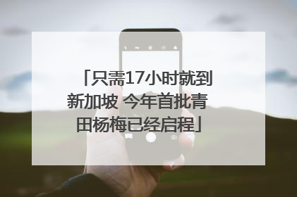 只需17小时就到新加坡 今年首批青田杨梅已经启程