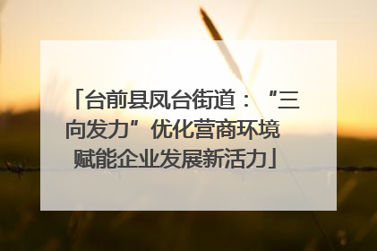 台前县凤台街道：“三向发力”优化营商环境 赋能企业发展新活力