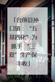 台前县孙口镇：“五基四化”为抓手 “三夏”生产保丰收
