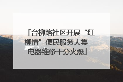 台柳路社区开展“红柳情”便民服务大集 电器维修十分火爆